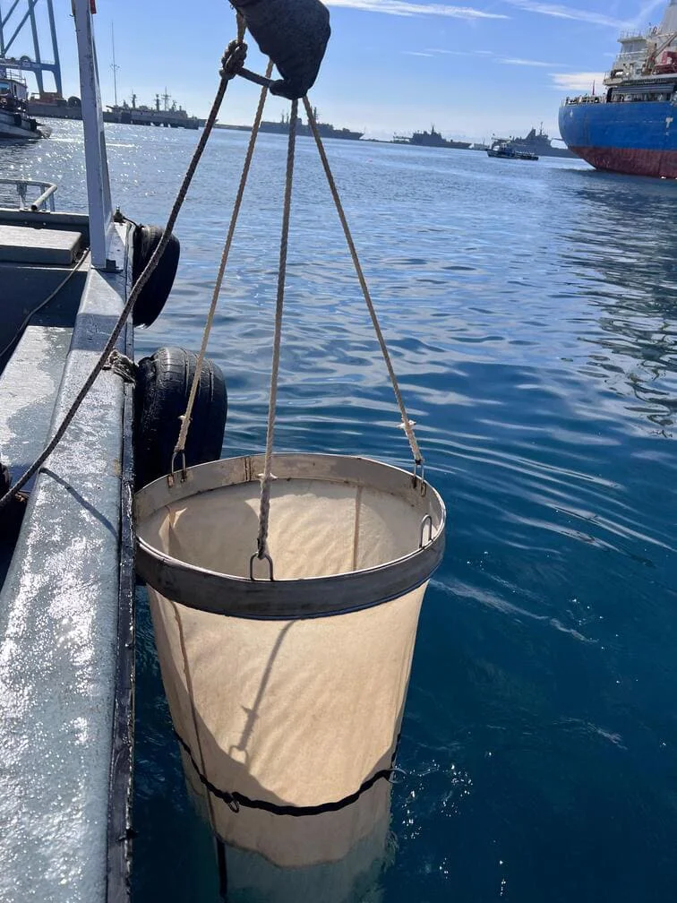 Ampliación Portuaria de Valparaíso