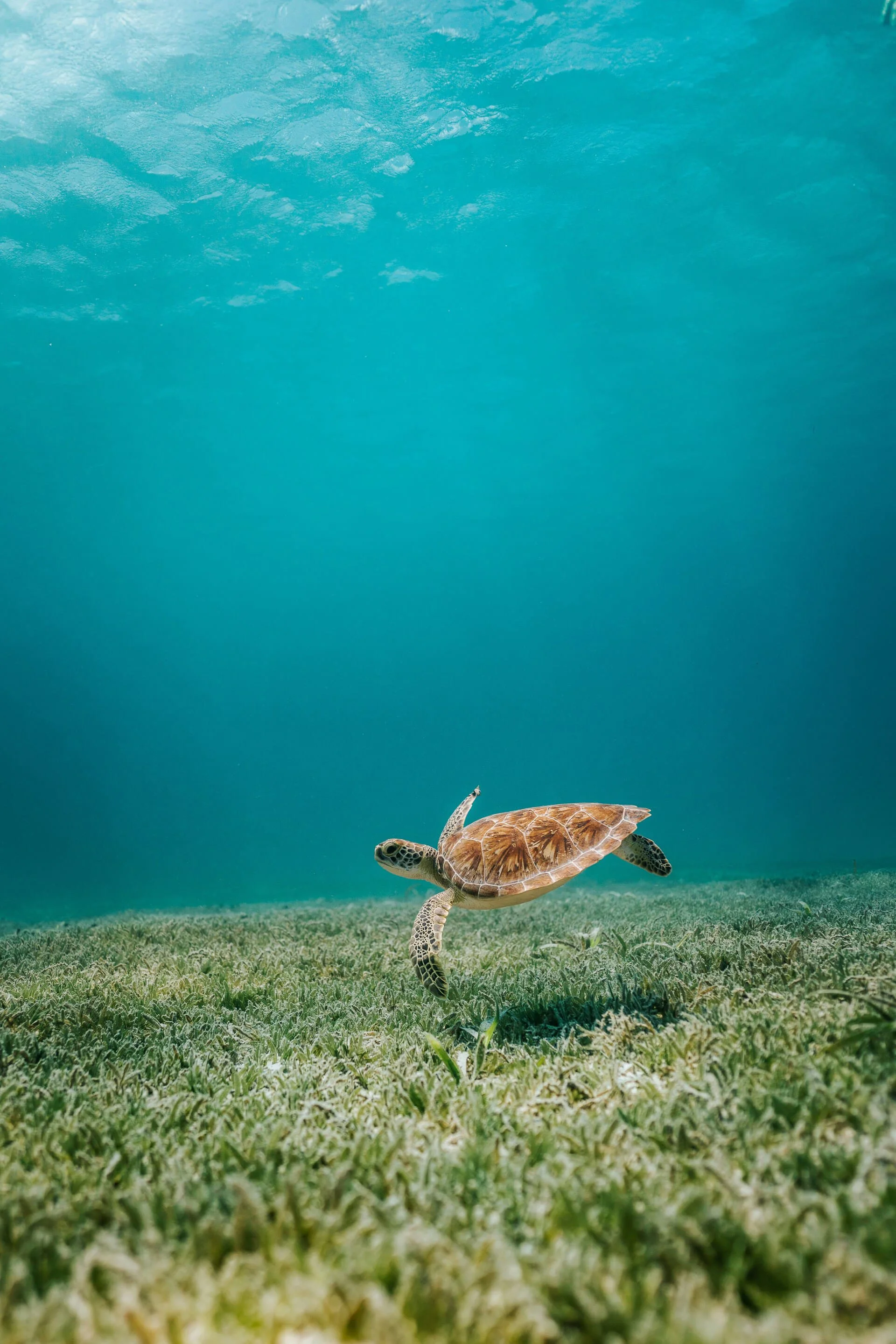 Día Internacional de las Reservas de la Biosfera: así avanzamos en la protección de los ecosistemas