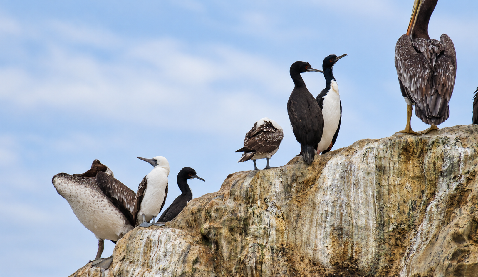 Día Internacional de las Reservas de la Biosfera: así avanzamos en la protección de los ecosistemas